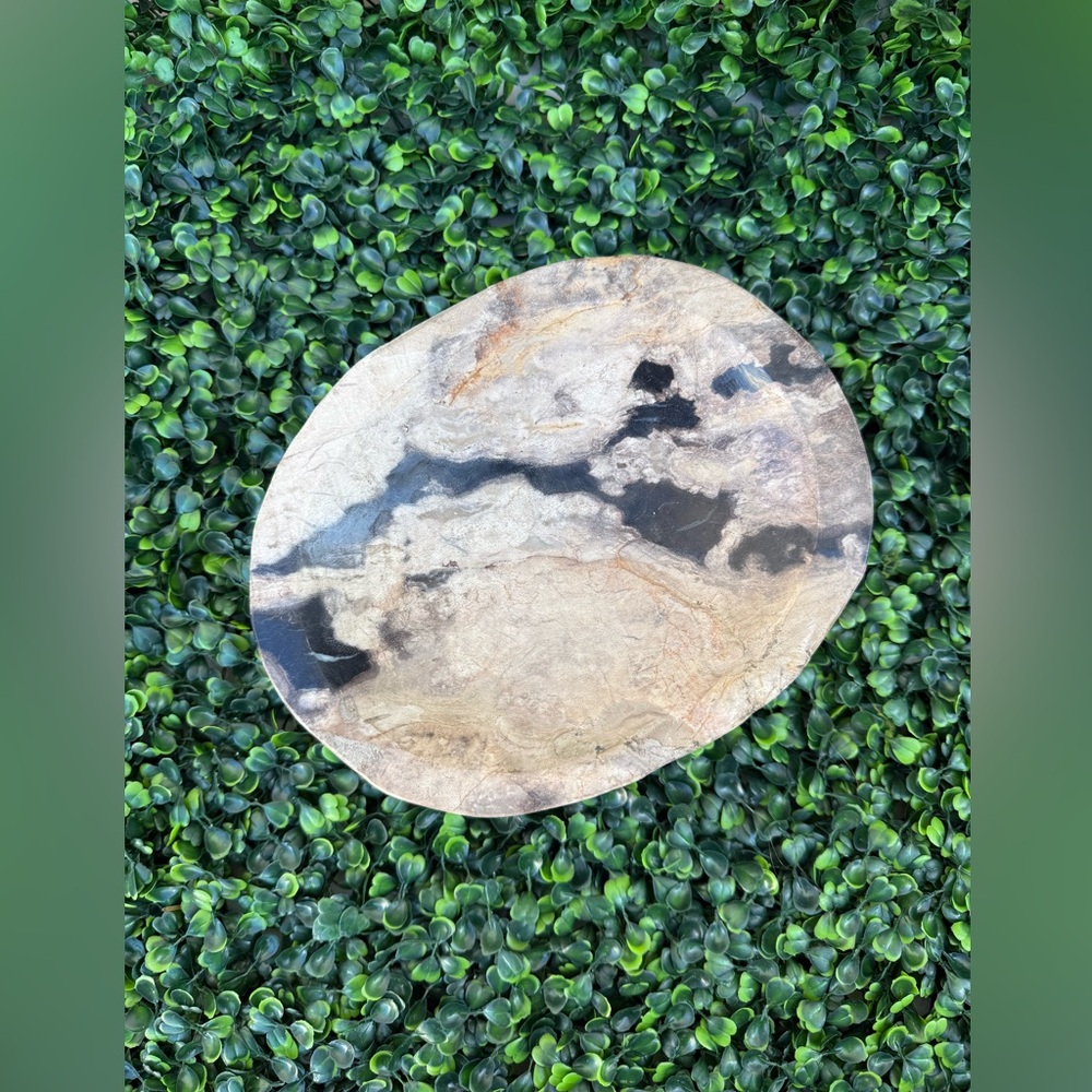 Petrified Wood Bowl • Grounding • Ancestral Wisdom • Earth Energy - Picture 4 of 5